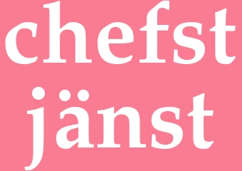 Synonym chefstjänst