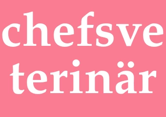 Synonym chefsveterinär