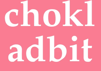Synonym chokladbit