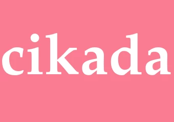 Synonym cikada