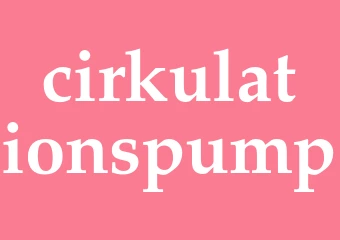 Synonym cirkulationspump