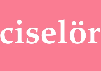 Synonym ciselör