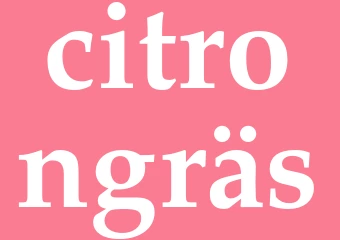 Synonym citrongräs