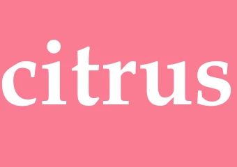 Synonym citrus