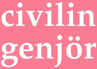 Synonym civilingenjör
