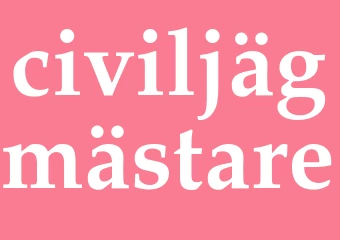 Synonym civiljägmästare