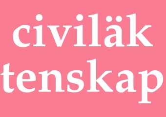 Synonym civiläktenskap