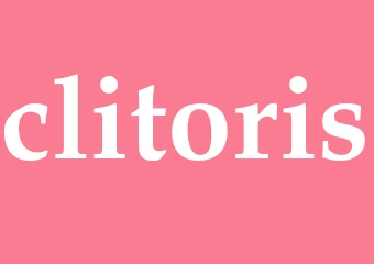 Synonym clitoris
