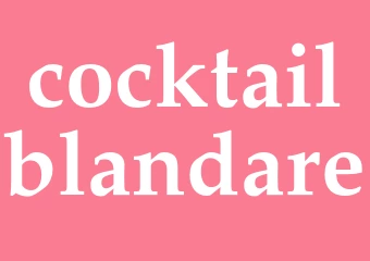 Synonym cocktailblandare