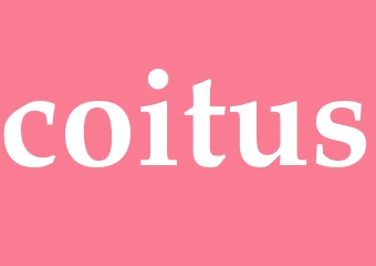 Synonym coitus