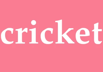 Synonym cricket