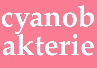 Synonym cyanobakterie