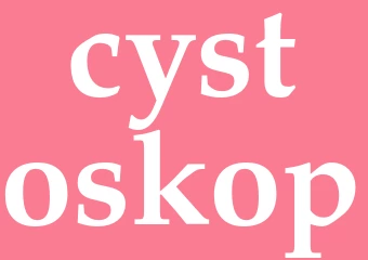 Synonym cystoskop