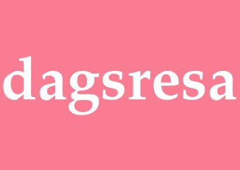 Synonym dagsresa