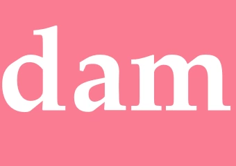 Synonym dam