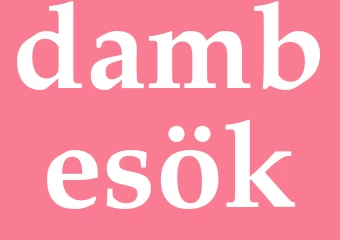 Synonym dambesök