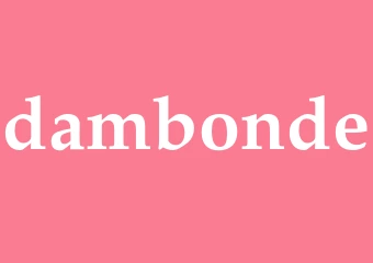 Synonym dambonde