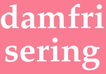 Synonym damfrisering