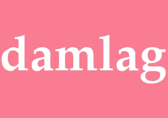 Synonym damlag