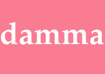 Synonym damma