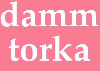 Synonym dammtorka
