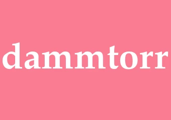 Synonym dammtorr