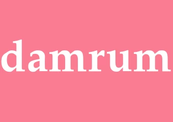 Synonym damrum