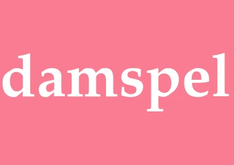 Synonym damspel
