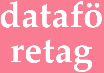Synonym dataföretag
