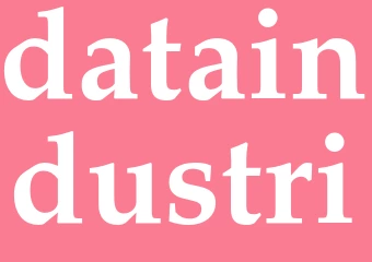 Synonym dataindustri