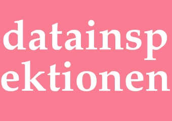 Synonym datainspektionen