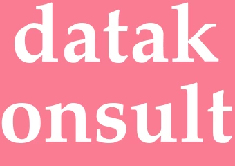 Synonym datakonsult