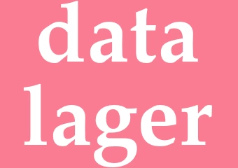 Synonym datalager