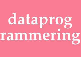 Synonym dataprogrammering