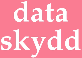 Synonym dataskydd