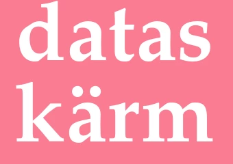 Synonym dataskärm