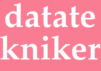 Synonym datatekniker