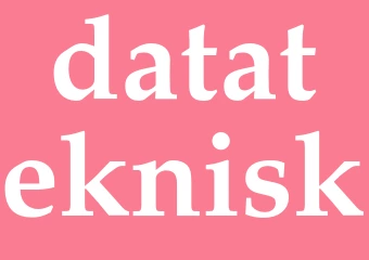 Synonym datateknisk