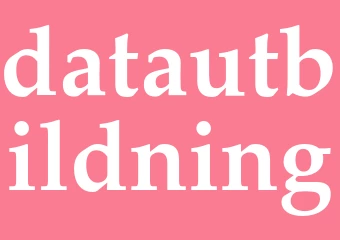Synonym datautbildning