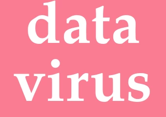 Synonym datavirus