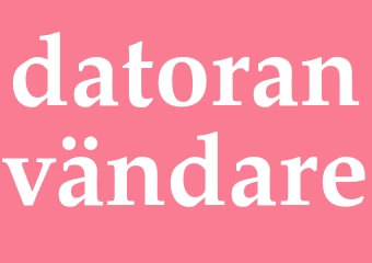 Synonym datoranvändare