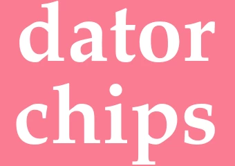 Synonym datorchips