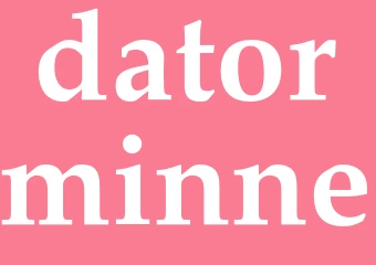Synonym datorminne