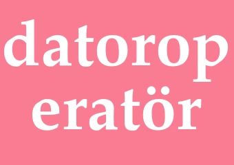 Synonym datoroperatör