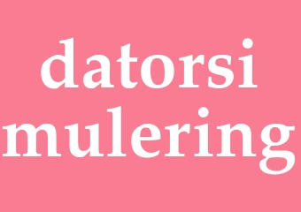Synonym datorsimulering