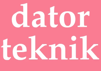 Synonym datorteknik