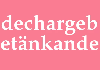Synonym dechargebetänkande