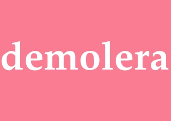Synonym demolera