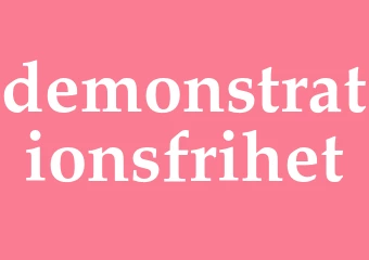 Synonym demonstrationsfrihet
