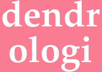 Synonym dendrologi